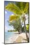 Beach, Holetown, St. James, Barbados, West Indies, Caribbean, Central America-Frank Fell-Mounted Photographic Print