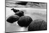 Beach Horizon, New Zealand-null-Mounted Art Print