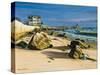 Beach House at Watch Hill-Bruce Dumas-Stretched Canvas