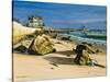 Beach House at Watch Hill-Bruce Dumas-Stretched Canvas