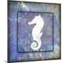 Beach House Sea Horse-LightBoxJournal-Mounted Giclee Print