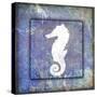 Beach House Sea Horse-LightBoxJournal-Stretched Canvas