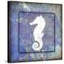 Beach House Sea Horse-LightBoxJournal-Stretched Canvas