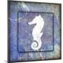 Beach House Sea Horse-LightBoxJournal-Mounted Premium Giclee Print