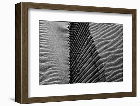 Beach House-Paulo Abrantes-Framed Photographic Print