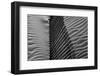 Beach House-Paulo Abrantes-Framed Photographic Print