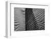 Beach House-Paulo Abrantes-Framed Photographic Print