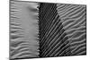 Beach House-Paulo Abrantes-Mounted Photographic Print