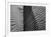 Beach House-Paulo Abrantes-Framed Photographic Print