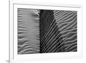 Beach House-Paulo Abrantes-Framed Photographic Print