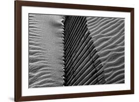 Beach House-Paulo Abrantes-Framed Photographic Print