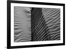 Beach House-Paulo Abrantes-Framed Photographic Print