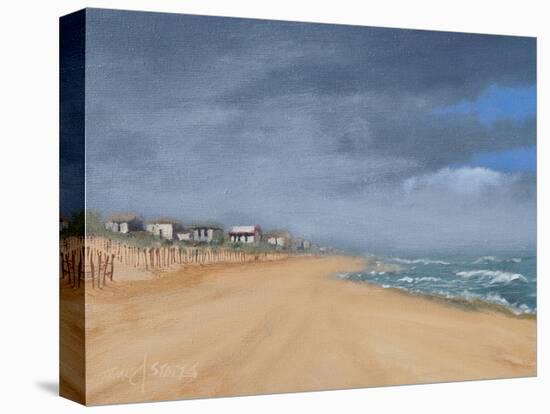 Beach Houses and Surf-Thomas Stotts-Stretched Canvas