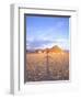 Beach Hut and Ocean, Cabo San Lucas, Mexico-Terry Eggers-Framed Photographic Print