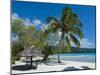 Beach Hut at Champagne Beach, Island of Espiritu Santo, Vanuatu, South Pacific, Pacific-Michael Runkel-Mounted Photographic Print