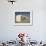 Beach Huts, Cayeux Sur Mer, Picardy, France-David Hughes-Framed Photographic Print displayed on a wall