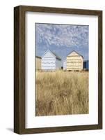 Beach Huts, Hayling Island, Hampshire, England, United Kingdom, Europe-Jean Brooks-Framed Photographic Print