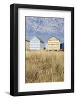 Beach Huts, Hayling Island, Hampshire, England, United Kingdom, Europe-Jean Brooks-Framed Photographic Print