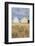 Beach Huts, Hayling Island, Hampshire, England, United Kingdom, Europe-Jean Brooks-Framed Photographic Print