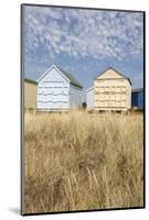 Beach Huts, Hayling Island, Hampshire, England, United Kingdom, Europe-Jean Brooks-Mounted Photographic Print