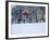 Beach Huts in the Snow at Wells Next the Sea, Norfolk, England-Jon Gibbs-Framed Photographic Print