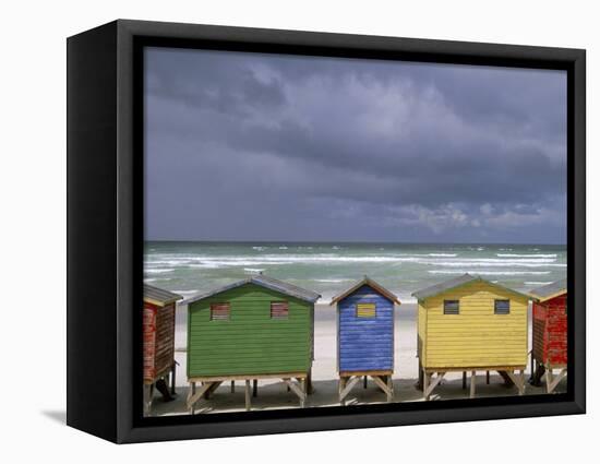 Beach Huts, Muizenberg, Cape Peninsula, South Africa, Africa-Steve & Ann Toon-Framed Stretched Canvas