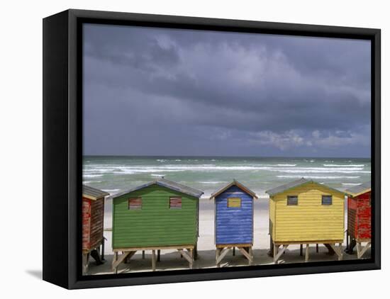 Beach Huts, Muizenberg, Cape Peninsula, South Africa, Africa-Steve & Ann Toon-Framed Stretched Canvas