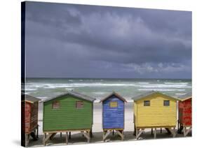 Beach Huts, Muizenberg, Cape Peninsula, South Africa, Africa-Steve & Ann Toon-Stretched Canvas