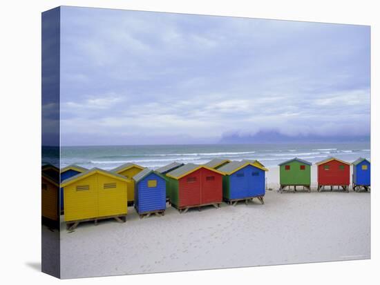 Beach Huts, Muizenberg, Near Cape Town, Cape Peninsula, South Africa-Fraser Hall-Stretched Canvas