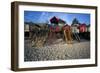 Beach Huts, Wells-Next-The Sea, Norfolk, England.-Joe Cornish-Framed Photo