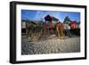 Beach Huts, Wells-Next-The Sea, Norfolk, England.-Joe Cornish-Framed Photo