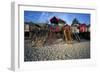 Beach Huts, Wells-Next-The Sea, Norfolk, England.-Joe Cornish-Framed Photo