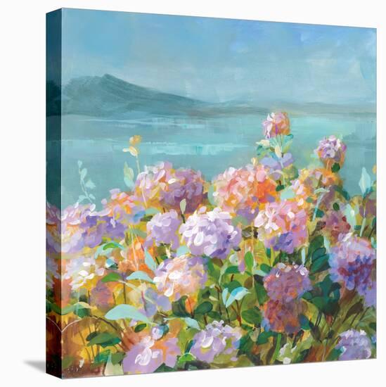 Beach Hydrangeas-Danhui Nai-Stretched Canvas