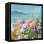 Beach Hydrangeas-Danhui Nai-Framed Stretched Canvas