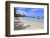 Beach in Cruz Bay, St. John, United States Virgin Islands, West Indies, Caribbean, Central America-Richard Cummins-Framed Photographic Print