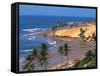 Beach in Fortaleza, Ceara, Brazil, South America-Papadopoulos Sakis-Framed Stretched Canvas