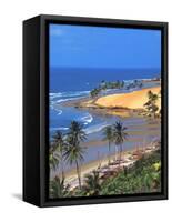 Beach in Fortaleza, Ceara, Brazil, South America-Papadopoulos Sakis-Framed Stretched Canvas