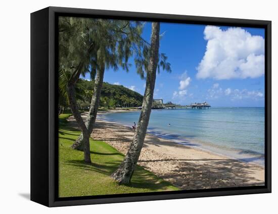 Beach in Noumea, New Caledonia, Melanesia, South Pacific, Pacific-Michael Runkel-Framed Stretched Canvas