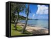 Beach in Noumea, New Caledonia, Melanesia, South Pacific, Pacific-Michael Runkel-Framed Stretched Canvas