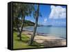 Beach in Noumea, New Caledonia, Melanesia, South Pacific, Pacific-Michael Runkel-Framed Stretched Canvas