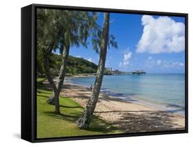 Beach in Noumea, New Caledonia, Melanesia, South Pacific, Pacific-Michael Runkel-Framed Stretched Canvas