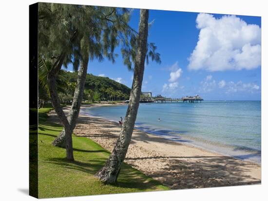 Beach in Noumea, New Caledonia, Melanesia, South Pacific, Pacific-Michael Runkel-Stretched Canvas