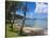 Beach in Noumea, New Caledonia, Melanesia, South Pacific, Pacific-Michael Runkel-Stretched Canvas