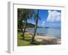 Beach in Noumea, New Caledonia, Melanesia, South Pacific, Pacific-Michael Runkel-Framed Photographic Print