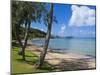 Beach in Noumea, New Caledonia, Melanesia, South Pacific, Pacific-Michael Runkel-Mounted Photographic Print