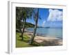 Beach in Noumea, New Caledonia, Melanesia, South Pacific, Pacific-Michael Runkel-Framed Photographic Print