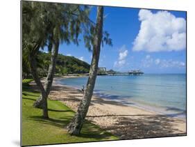 Beach in Noumea, New Caledonia, Melanesia, South Pacific, Pacific-Michael Runkel-Mounted Photographic Print