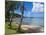 Beach in Noumea, New Caledonia, Melanesia, South Pacific, Pacific-Michael Runkel-Mounted Photographic Print