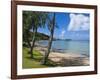 Beach in Noumea, New Caledonia, Melanesia, South Pacific, Pacific-Michael Runkel-Framed Photographic Print