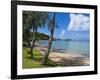 Beach in Noumea, New Caledonia, Melanesia, South Pacific, Pacific-Michael Runkel-Framed Photographic Print